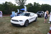 Mustang